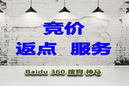 竞价推广中的着陆页策略：成功案例解读